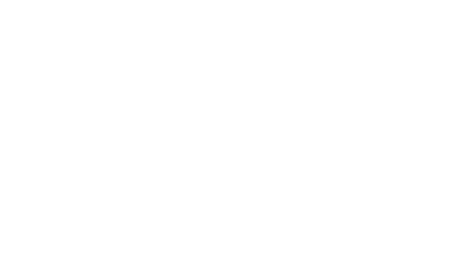 LOGO-FULMINI-Partners-02 copie
